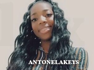 ANTONELAKEYS