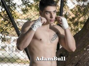 AdamBull