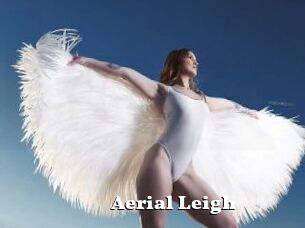 Aerial_Leigh