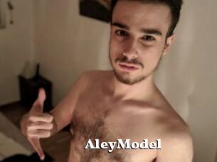 AleyModel