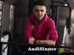 AndiSinner