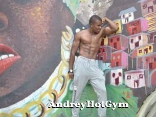 AndreyHotGym