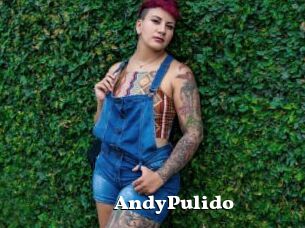 AndyPulido