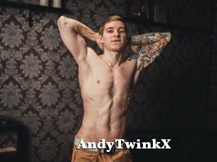 AndyTwinkX