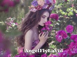 AngelFlyLaVid