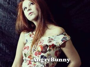 AngryBunny