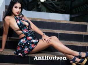 AniHudson