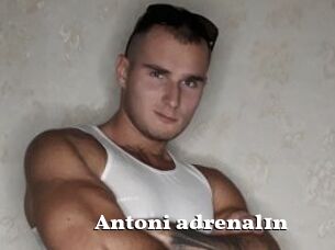 Antoni_adrenal1n