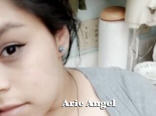 Arie_Angel