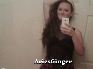 AriesGinger