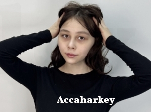 Accaharkey