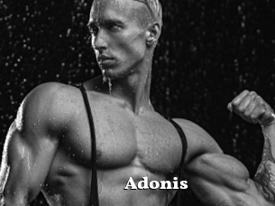 Adonis