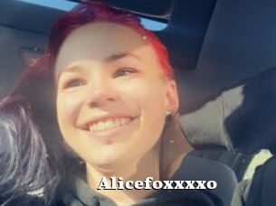 Alicefoxxxxo