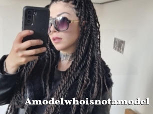 Amodelwhoisnotamodel