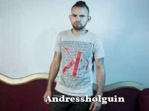 Andressholguin