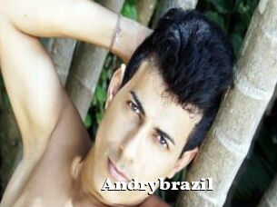 Andrybrazil
