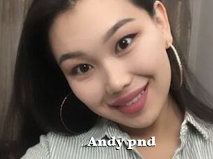 Andy_pnd