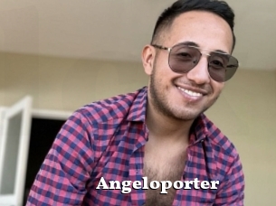 Angeloporter