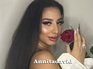 Annitadavid