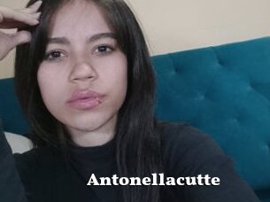 Antonellacutte