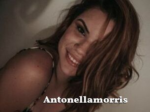 Antonellamorris