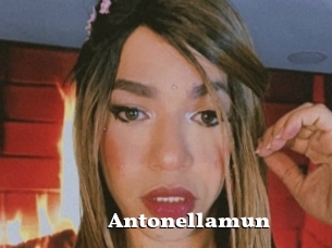 Antonellamun