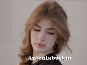 Antoniabufkin