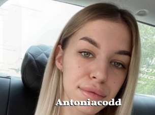 Antoniacodd