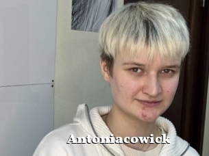 Antoniacowick