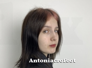 Antoniacrofoot