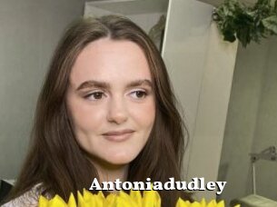 Antoniadudley