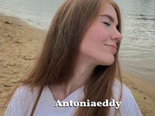 Antoniaeddy