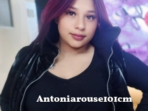 Antoniarouse101cm