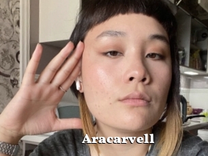 Aracarvell