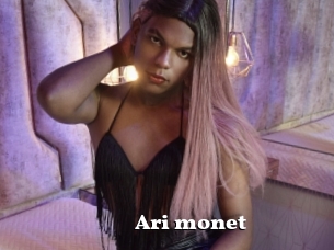 Ari_monet