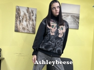 Ashleybeese