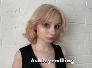 Ashleycodling