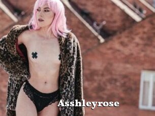 Asshleyrose