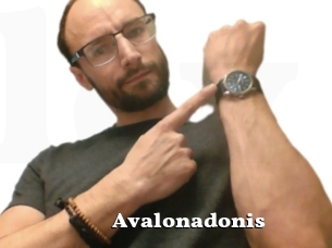 Avalonadonis