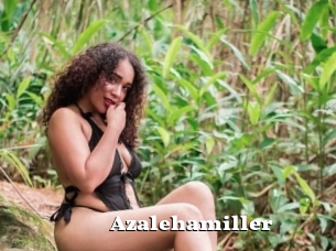 Azalehamiller