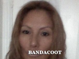 BANDACOOT