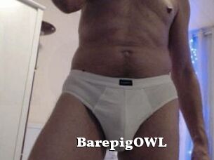 BarepigOWL