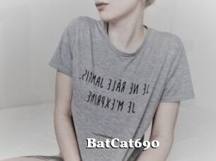 BatCat690