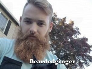 Beardedginger