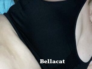 Bella_cat