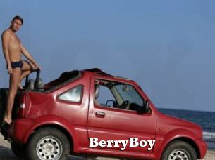 BerryBoy