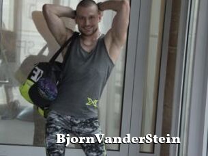 BjornVanderStein