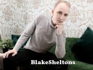 BlakeSheltons