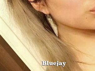 Blue_jay