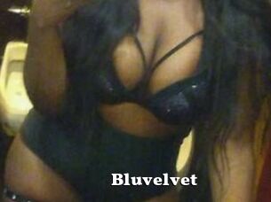 Bluvelvet